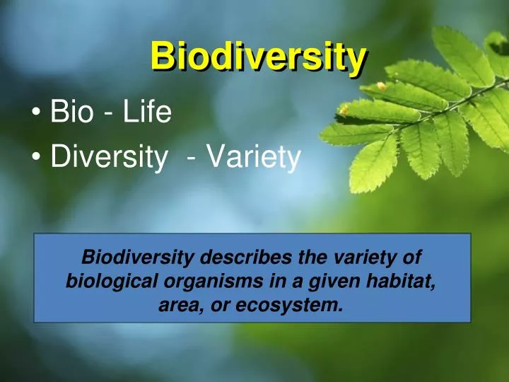 PPT Biodiversity PowerPoint Presentation Free Download ID 1395884