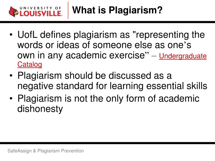 professional english essay language
