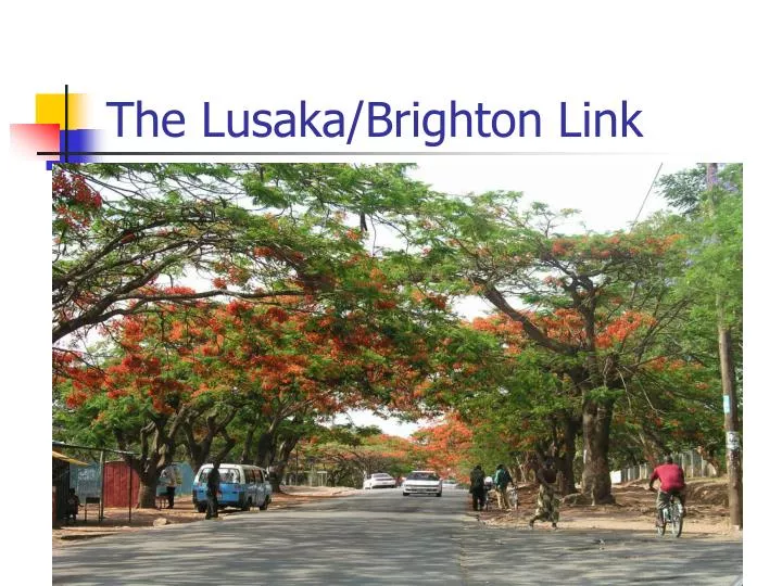 the lusaka brighton link n.