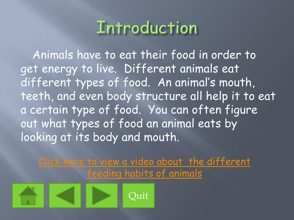 PPT - The Eating Habits of Animals PowerPoint Presentation, free download -  ID:1397083