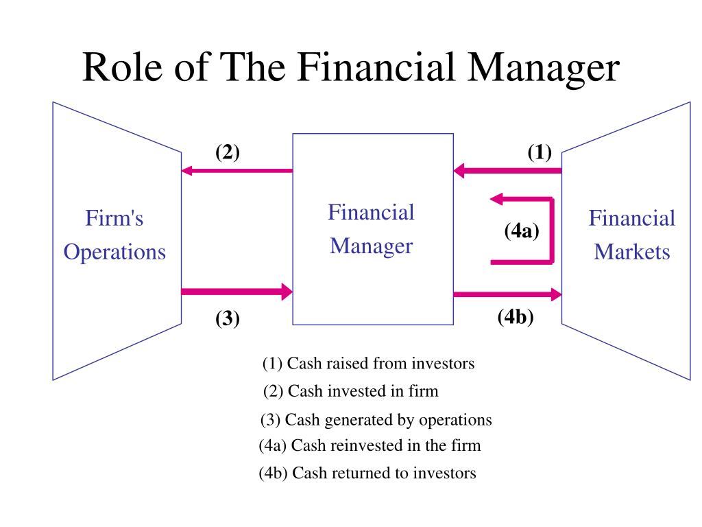 presentation about financial manager