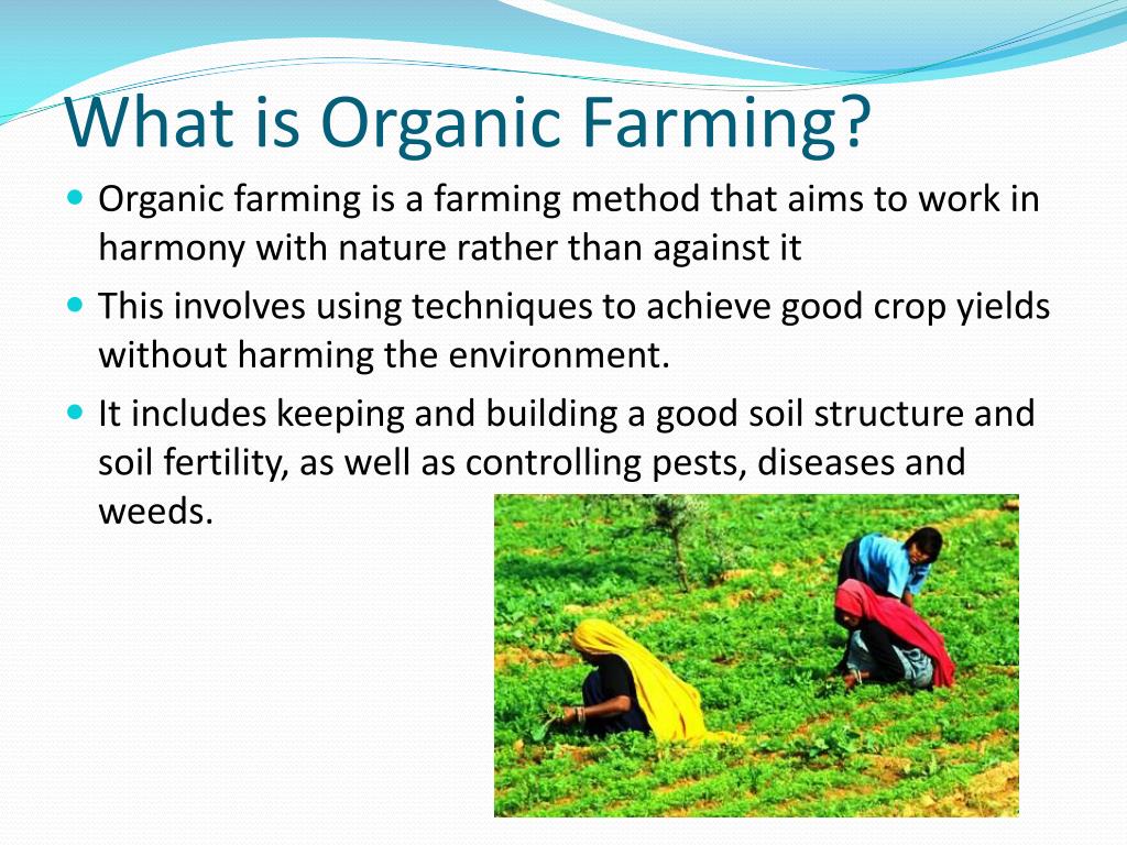 case study on agriculture ppt