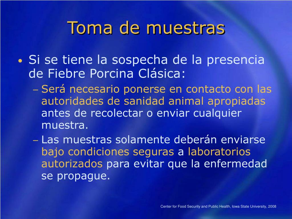 PPT - Fiebre Porcina Clásica PowerPoint Presentation, free download