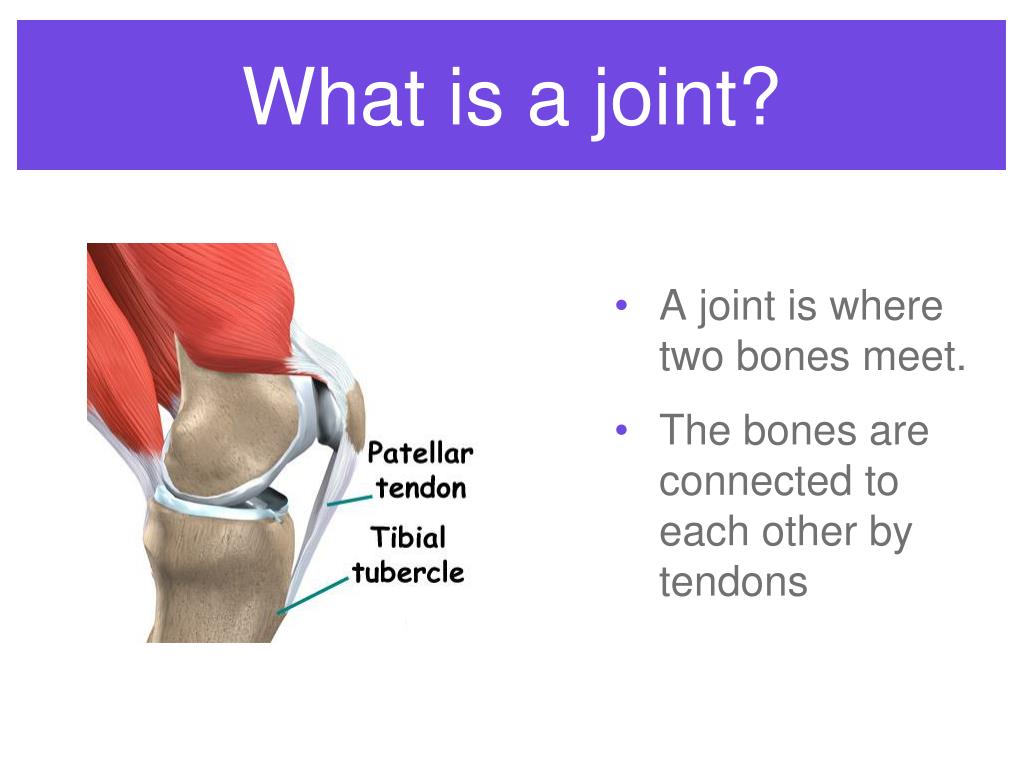 what is a joint presentation