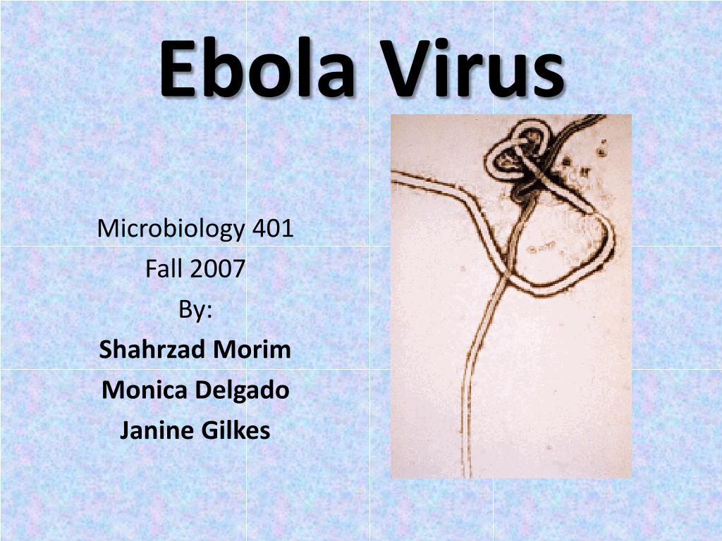 essay on ebola virus