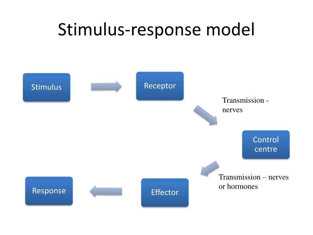 PPT Adaptations for survival 1 PowerPoint Presentation, free download