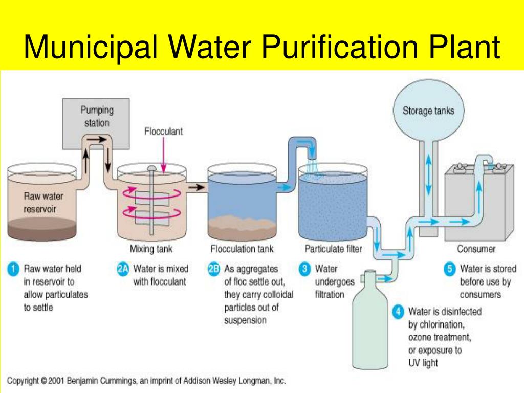 treatment of water for municipal supply