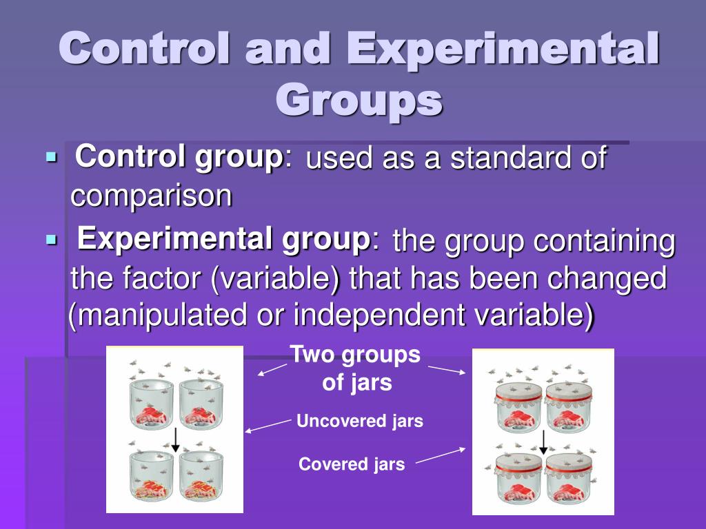 research and control groups