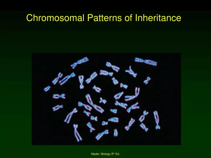 chromosomal patterns of inheritance n.