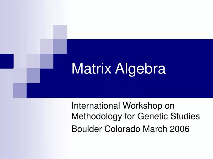 matrix algebra n.