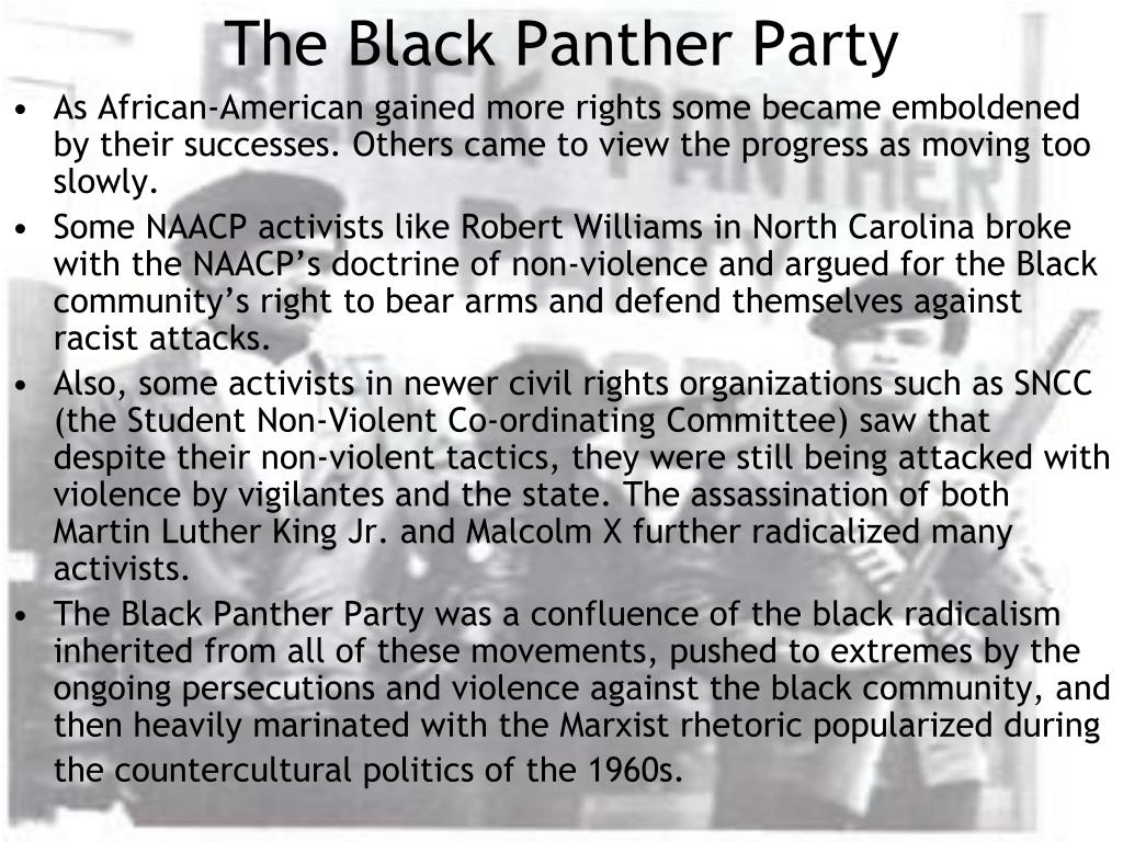 the black panther party essay
