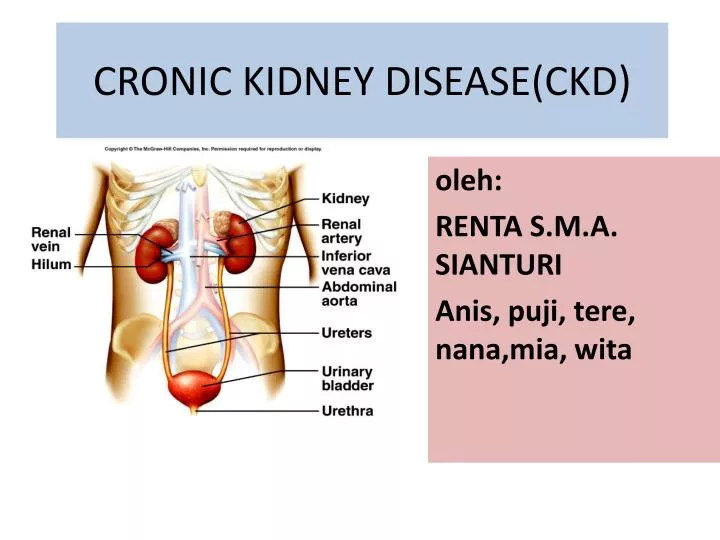 cronic kidney disease ckd n.
