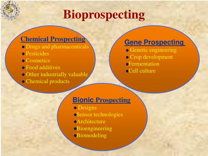 PPT Quality control & Standardization of herbal drugs PowerPoint