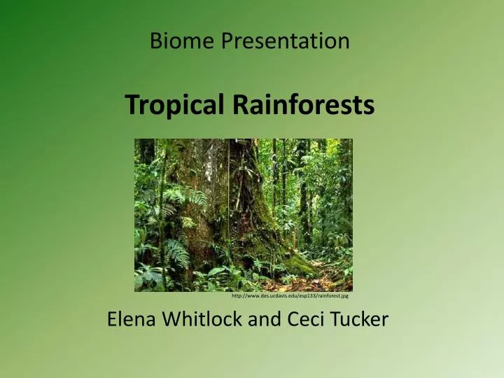 biome presentation tropical rainforests n.