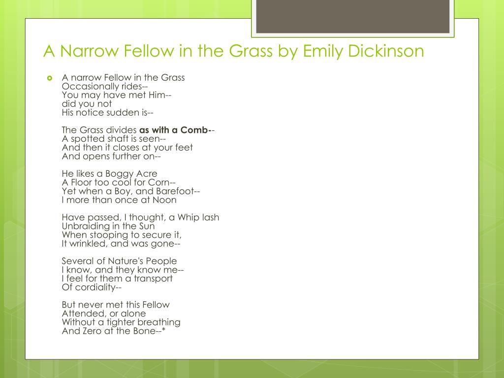 summary of a narrow fellow in the grass
