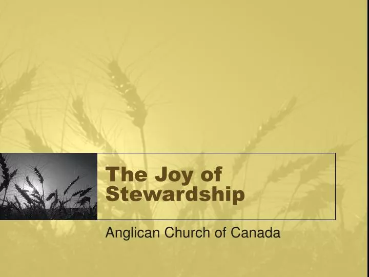 the joy of stewardship n.