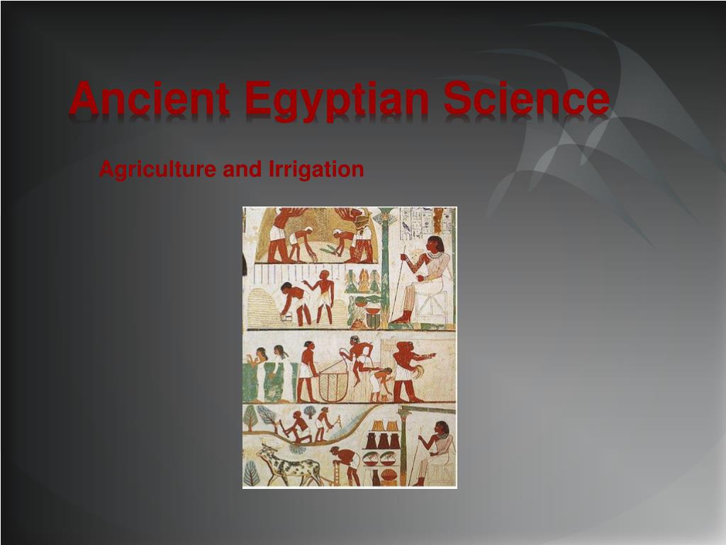 PPT - ANCIENT EYGPT PowerPoint Presentation, free download - ID:1410027