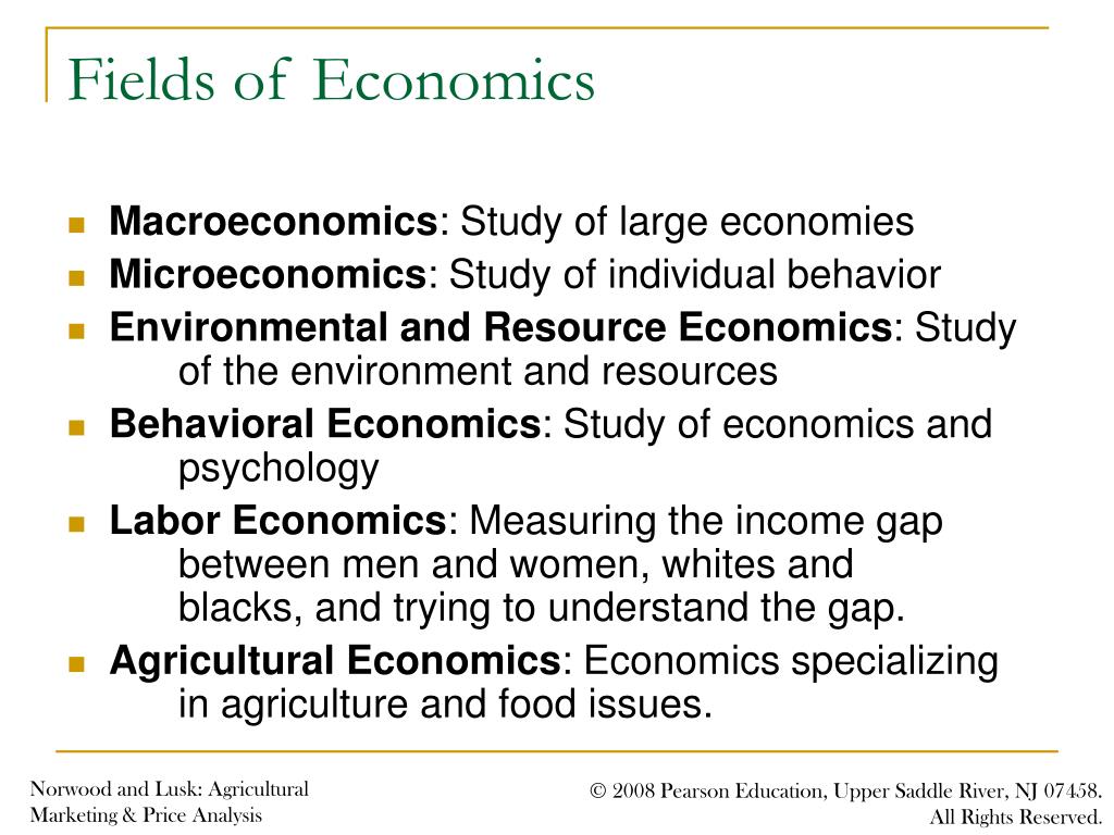 economics phd fields