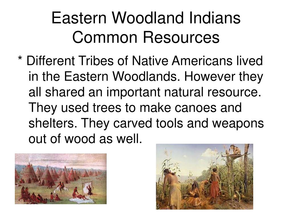 eastern woodlands tools