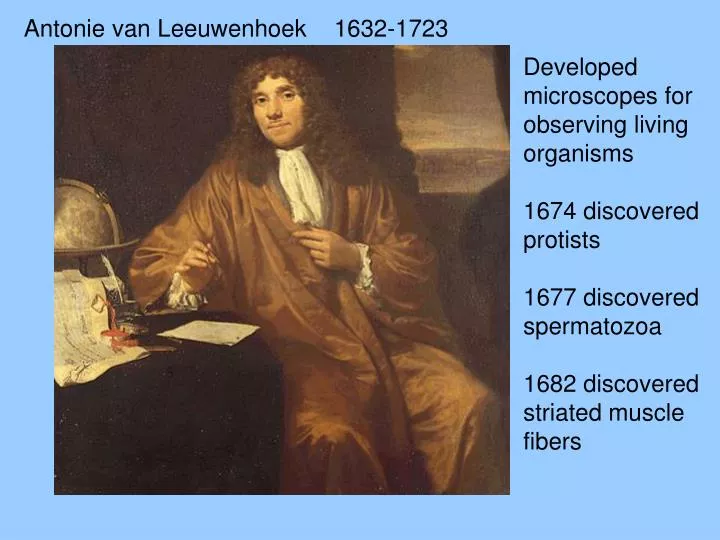 PPT - Antonie van Leeuwenhoek PowerPoint Presentation, free download - ID:1411343