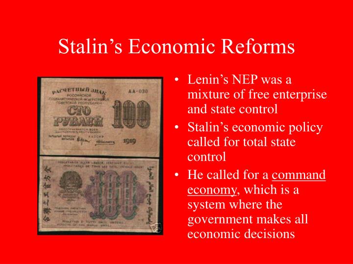 stalin's economic policies essay