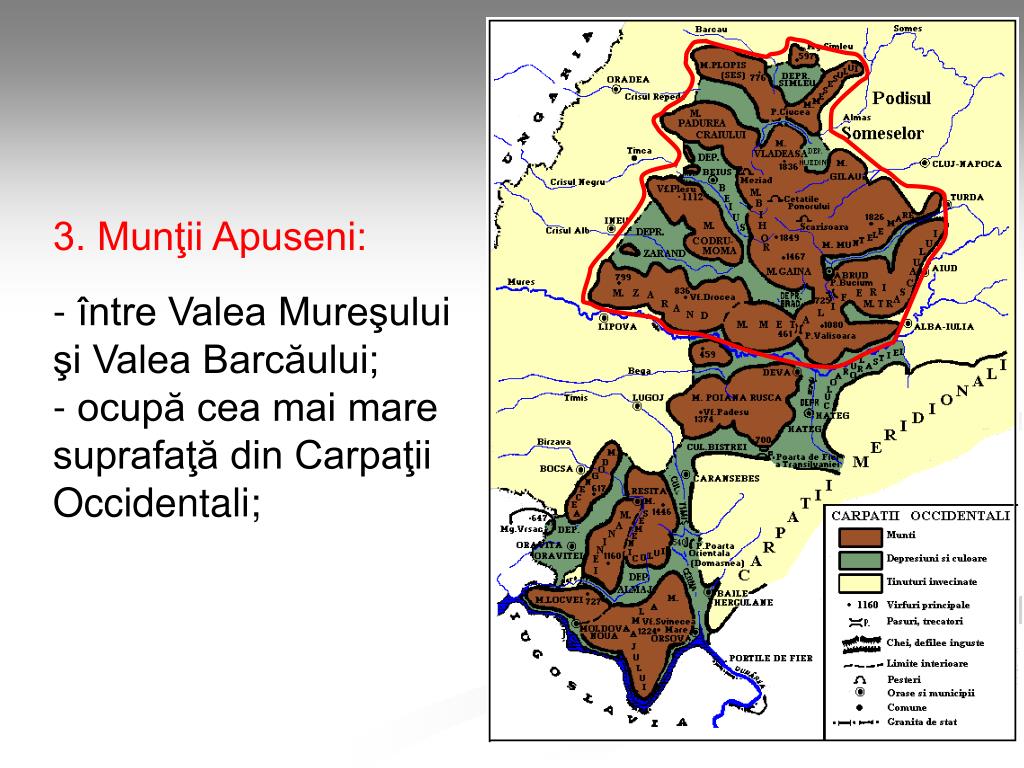PPT - CARPA ŢII OCCIDENTALI PowerPoint Presentation, free download -  ID:1411526