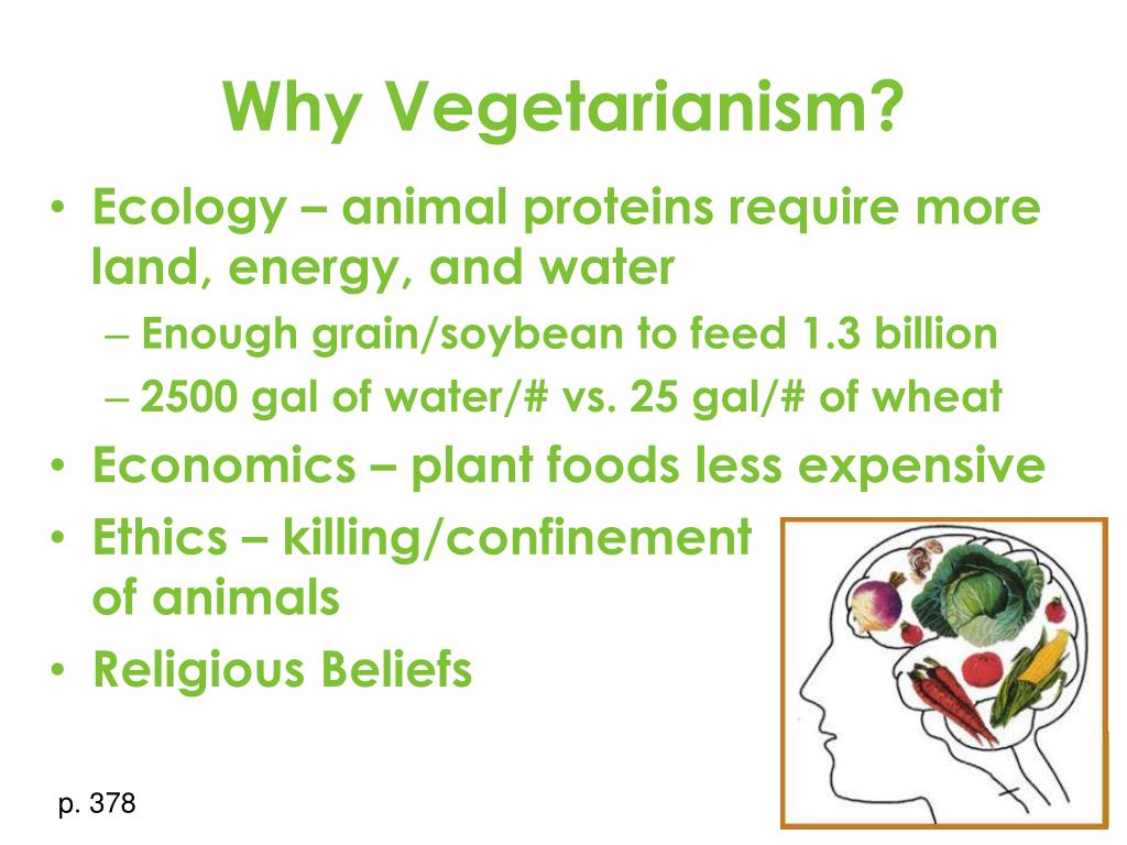essay on advantages of vegetarianism