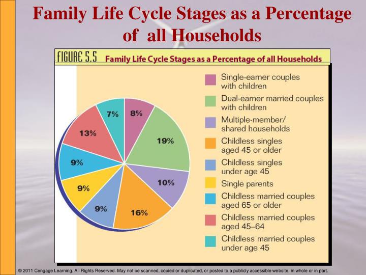 life cycle presentation elderly life cycle presentation elderly