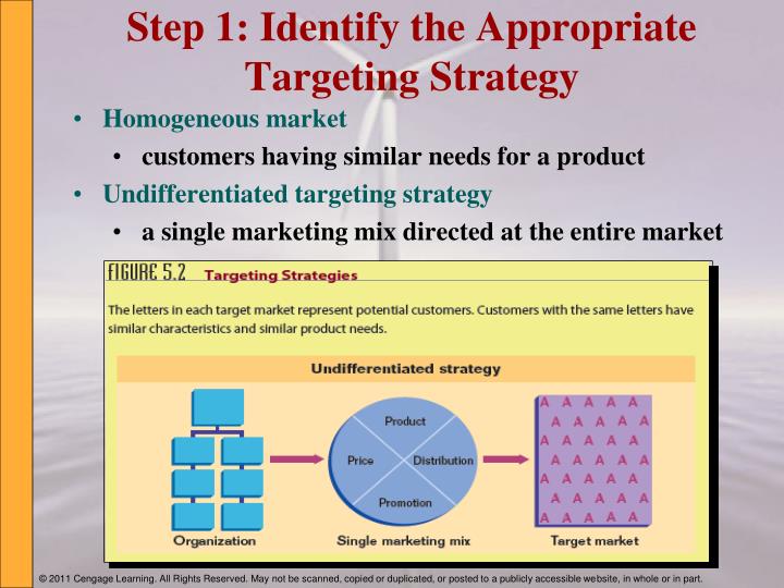 undifferentiated targeting strategy example