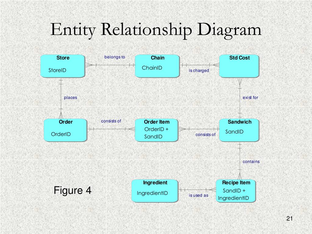 Entity relationship диаграмма