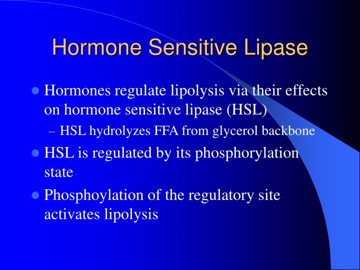 PPT Lipid Metabolism During Exercise PowerPoint Presentation ID1413797