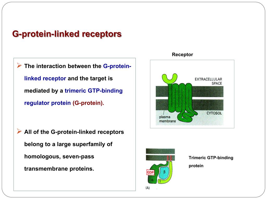 g protein linked receptors g protein linked receptors