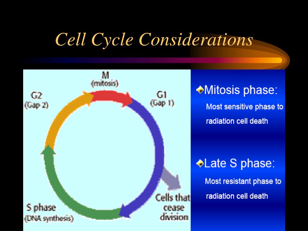 RADIATION ONCOLOGY PowerPoint Presentation free download Biology Diagrams