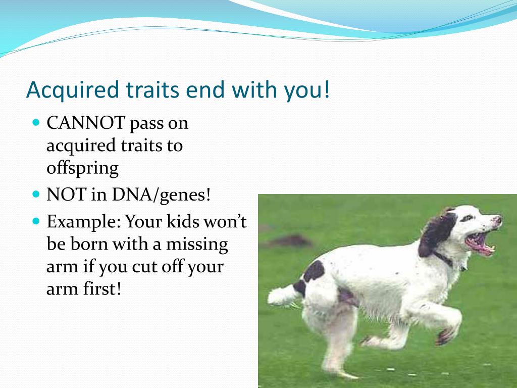 ppt-acquired-vs-inherited-traits-7-january-2011-powerpoint