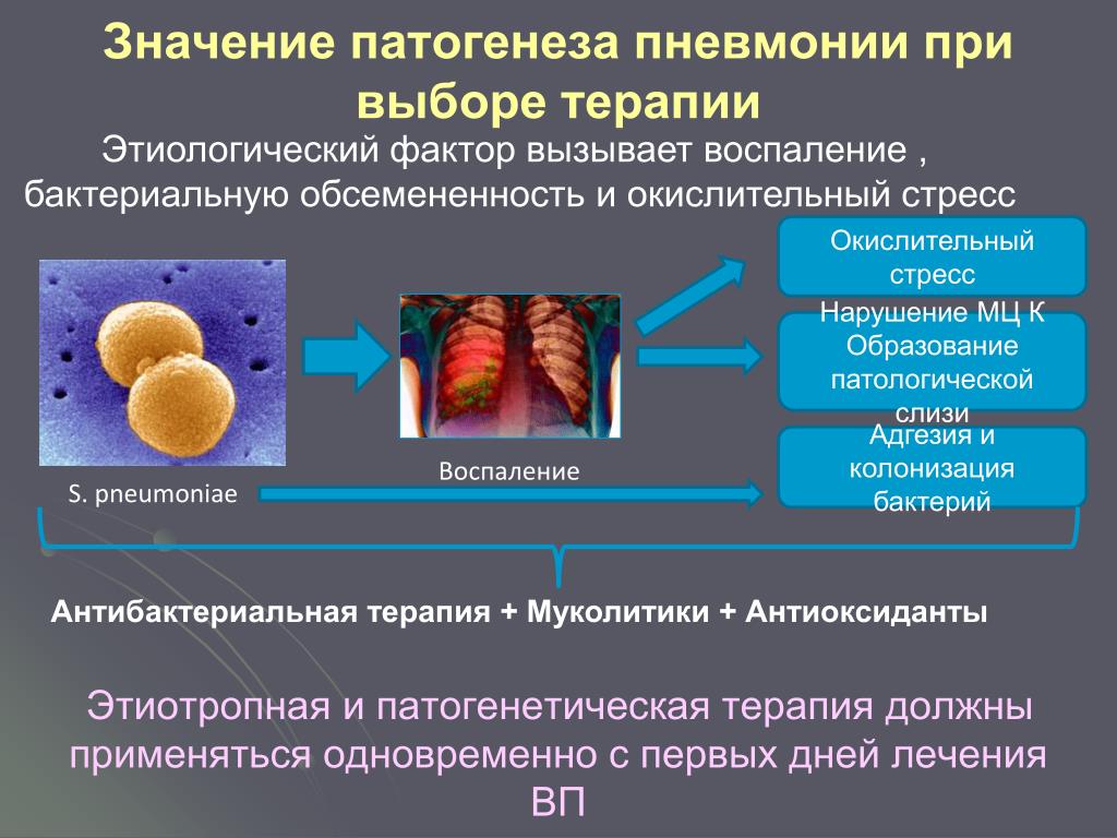 Острое воспаление патогенез