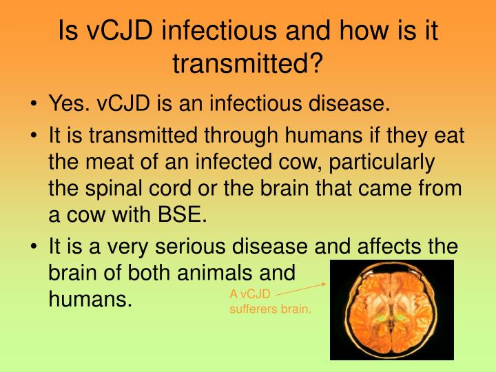the mad cow disease vcjd causes risks and effects the mad cow disease vcjd causes risks and effects