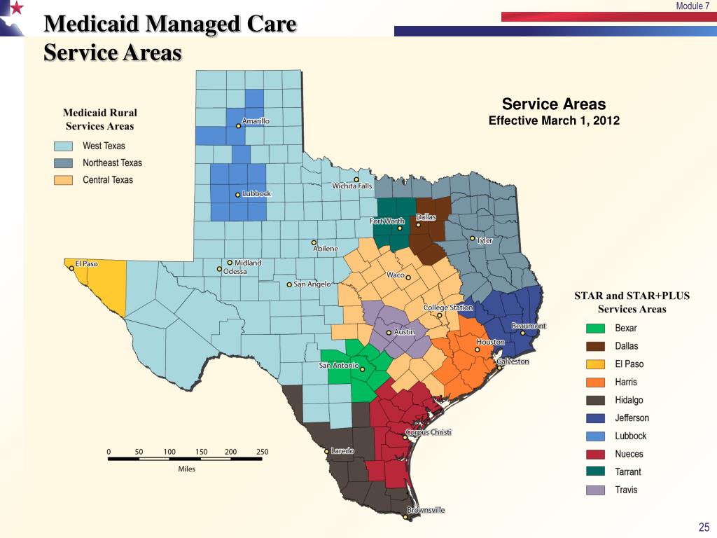 PPT - Texas Medicaid PowerPoint Presentation, free download - ID:1420290