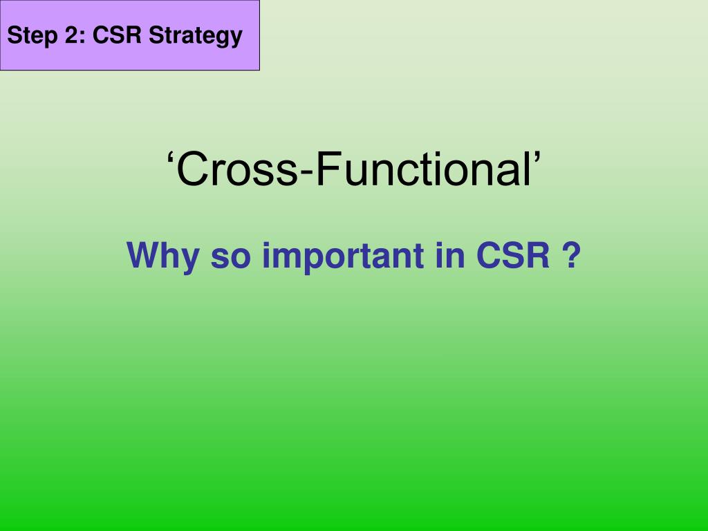 PPT - Corporate Social Responsibility Class 3: CSR Management System ...