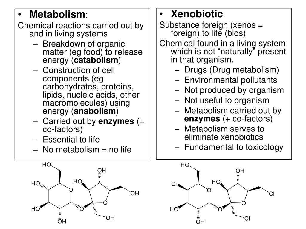 PPT Metabolism of Xenobiotics PowerPoint Presentation, free download