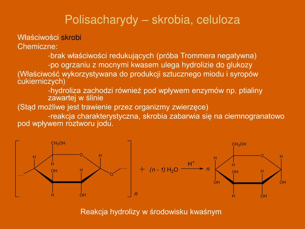Celuloza Skrobia Glikogen Chityna Są To Związki Należące Do Polisacharydów PPT - Materiały pochodzą z Platformy Edukacyjnej Portalu www