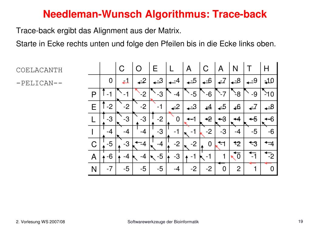Trace back. Алгоритм Нидлмана - Вунша. Алгоритмом глобального выравнивания Нидлмана-Вунша. Алгоритм выравнивания Нидлмана-Вунша. Алгоритм Нидлмана Вунша биоинформатика.