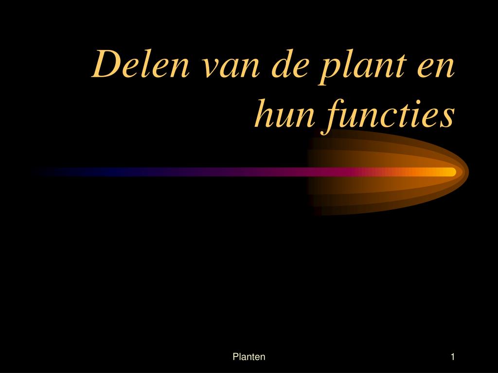 - Delen van de plant en hun functies PowerPoint download - ID:1424261