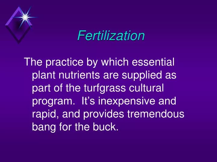 fertilization n.