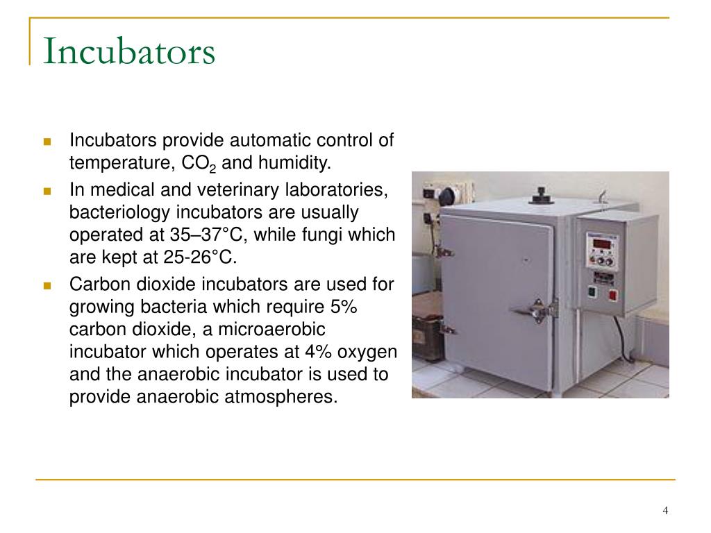 PPT Laboratory equipment PowerPoint Presentation, free download ID