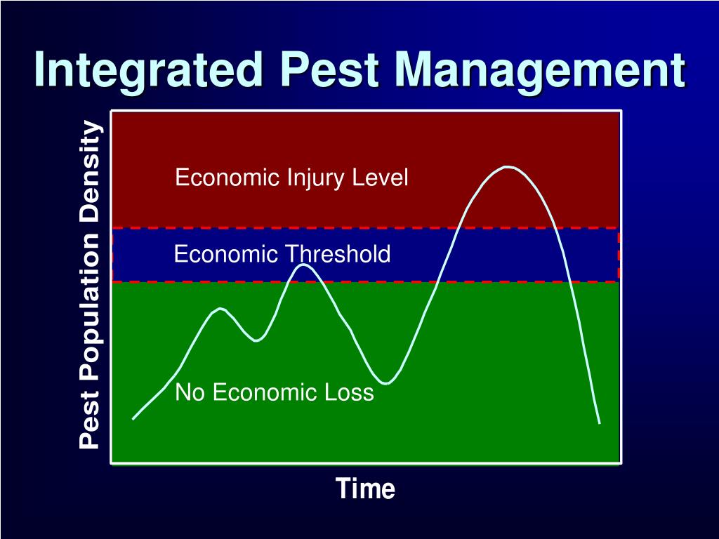 PPT Varroa Mite Sampling and IPM PowerPoint Presentation, free download ID1425963