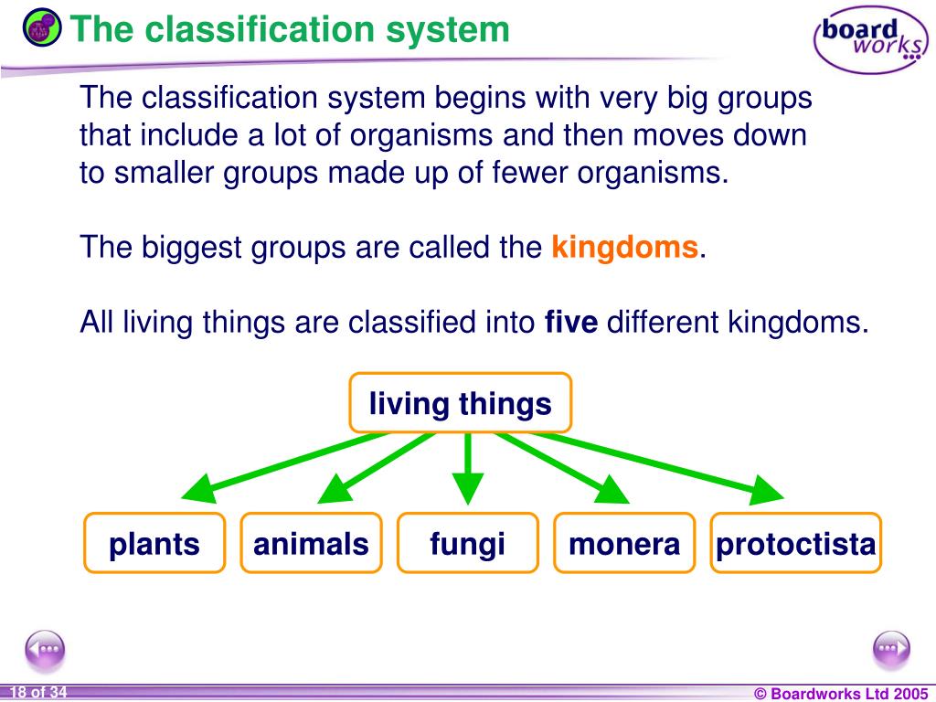 what is classification ks3