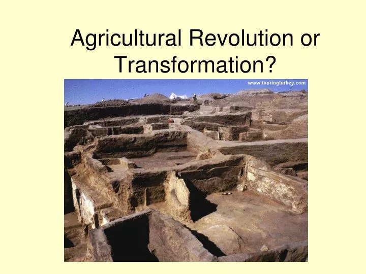 agricultural revolution or transformation n.