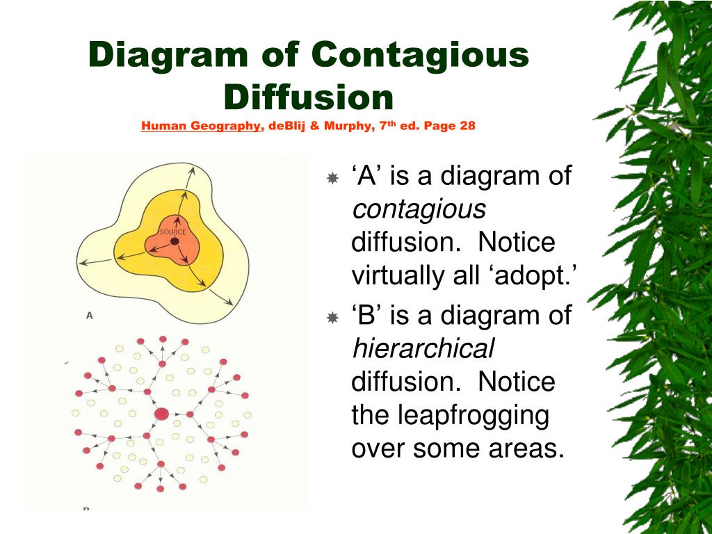 PPT How do I understand Diffusion ? PowerPoint Presentation, free