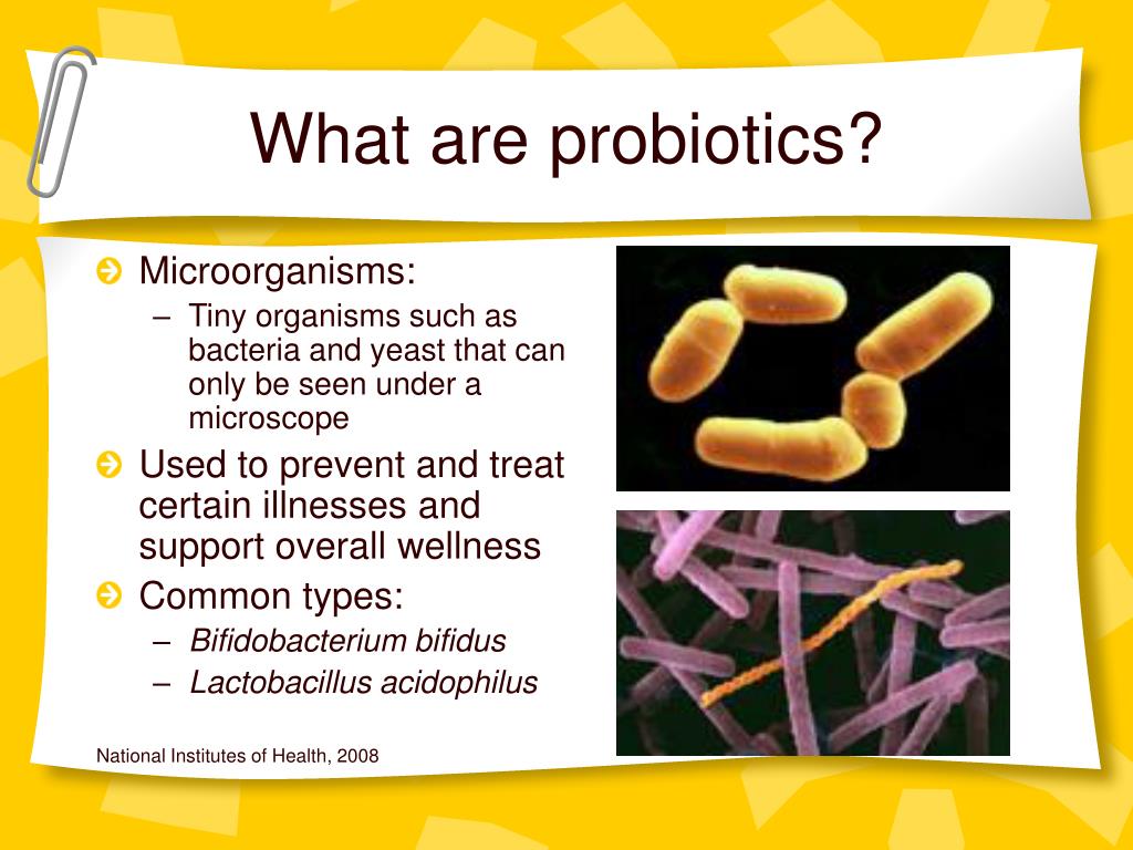PPT - Taking Care of Our “Friendly Bacteria” Probiotics and Prebiotics