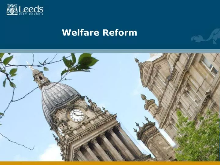 welfare reform n.